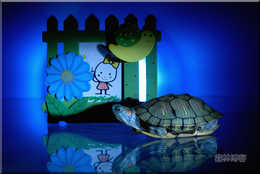 еļ԰ڼĲĵġּ򵥣ֻ˶ʹõһʼƼɫǽϴεĹΡڹŶԴһ˲䰴˿šʱҪһ⣬Ǻǡ